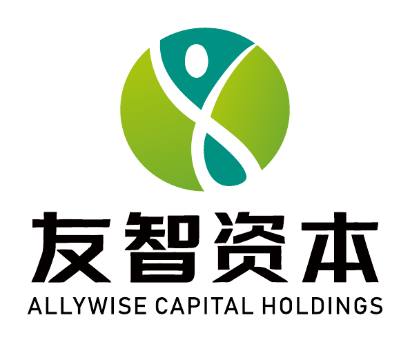Allywise Capital Holdings